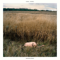 Dogs - Sinai Vessel