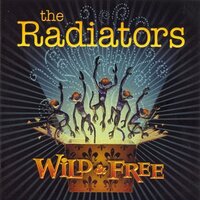 One-Eyed Jack - The Radiators