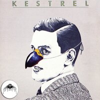 Wind Cloud - Kestrel