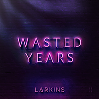 Wasted Years - Larkins