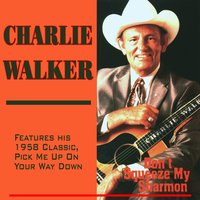 I Wouldn’t Take Her To A Dogfight - Charlie Walker