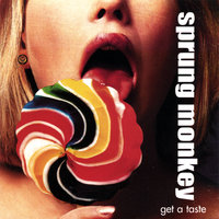 Party Like A Rock Star - Sprung Monkey