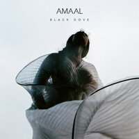 Coming & Going - AMAAL