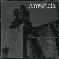 I Hate to Say It - Amygdala