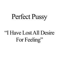 II - Perfect Pussy