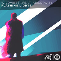 Flashing Lights - WildVibes, Arild Aas