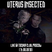 Destination / Total Chaos - Uterus Insected