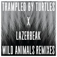 Come Back Home - Trampled By Turtles, Lazerbeak