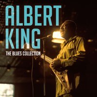 Don't Throw Your Love on Me Strong - Albert King