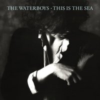 Trumpets - The Waterboys