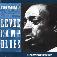 My Baby Don't Treat Me Like Human Kind - Fred McDowell