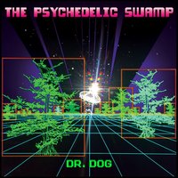 (swamp inflammation) - Dr. Dog