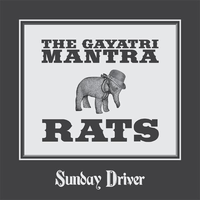 Rats - Sunday Driver