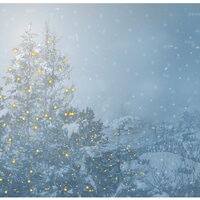 Mistletoe Kisses - Christmas Songs for Kids All Stars, Christmas Cafe, Christmas Song, Christmas Cafe, Christmas Songs for Kids All Stars