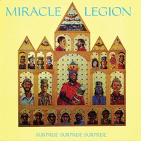 Little Man - Miracle Legion