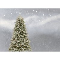 Meowy Christmas! - Christmas Band, Christmas Canon Specialists, Christmas Eve, Christmas Eve, Christmas Band