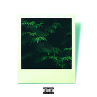 Evergreen - Brandon Taylor