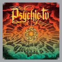 After You're Dead, She Said - Psychic TV