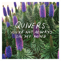 You're Not Always On My Mind - Quivers