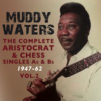 She's into Somethin' - Muddy Waters