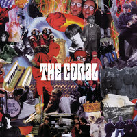Shadows Fall - The Coral