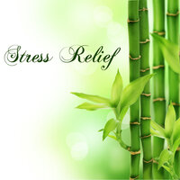 Be Well - Stress Relief