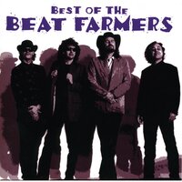 Happy Boy - Beat Farmers