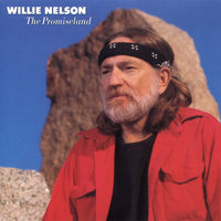 You're Only in My Arms (To Cry on My Shoulder) - Willie Nelson