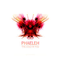The Cold in You - Phaeleh