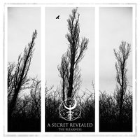 Lay My Memories to Rest - A Secret Revealed