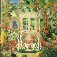 Yuka - Flamingods