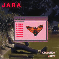 Cinnamon Burn - Fashion Jackson, Jara