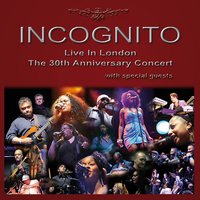 Wild And Beautiful - Incognito