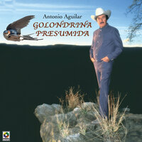 Amor Del Alma - ANTONIO AGUILAR