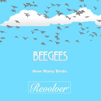 Big Chance - Beegees