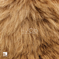 Lion - HVOB