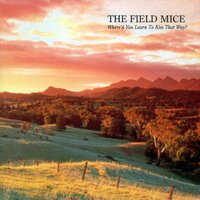 This Is Not Here - The Field Mice
