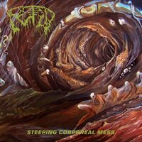 Draped in What Was - Fetid