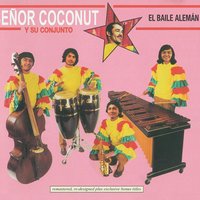 Homecomputer - Señor Coconut
