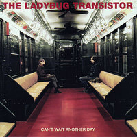 I'm Not Mad Enough - The Ladybug Transistor