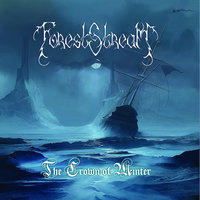 The Crown of Winter - Forest Stream