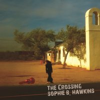 Gone Baby - Sophie B. Hawkins