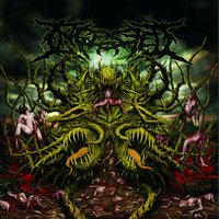 Contorted Perception - Ingested