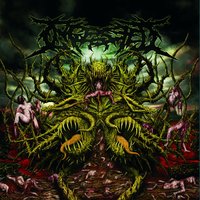 Anal Evisceration - Ingested