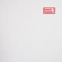 May 1st - Beach Fossils