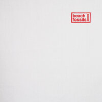 Closer Everywhere - Beach Fossils