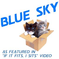 Blue Sky (As Heard in the "If It Fits, I Sits" Video) - He & She