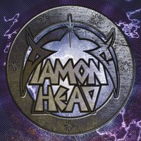 Wizard Sleeve - Diamond Head
