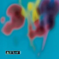 Overlit Canyon (The Obscured Wingtip Memoir) - Lilys