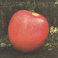 Black Grass - Little Wings